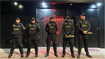 Seguridad VIP