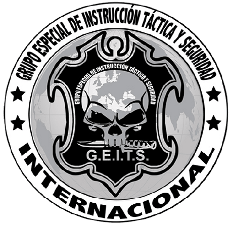 GEITS - Grupo Especial Internacional