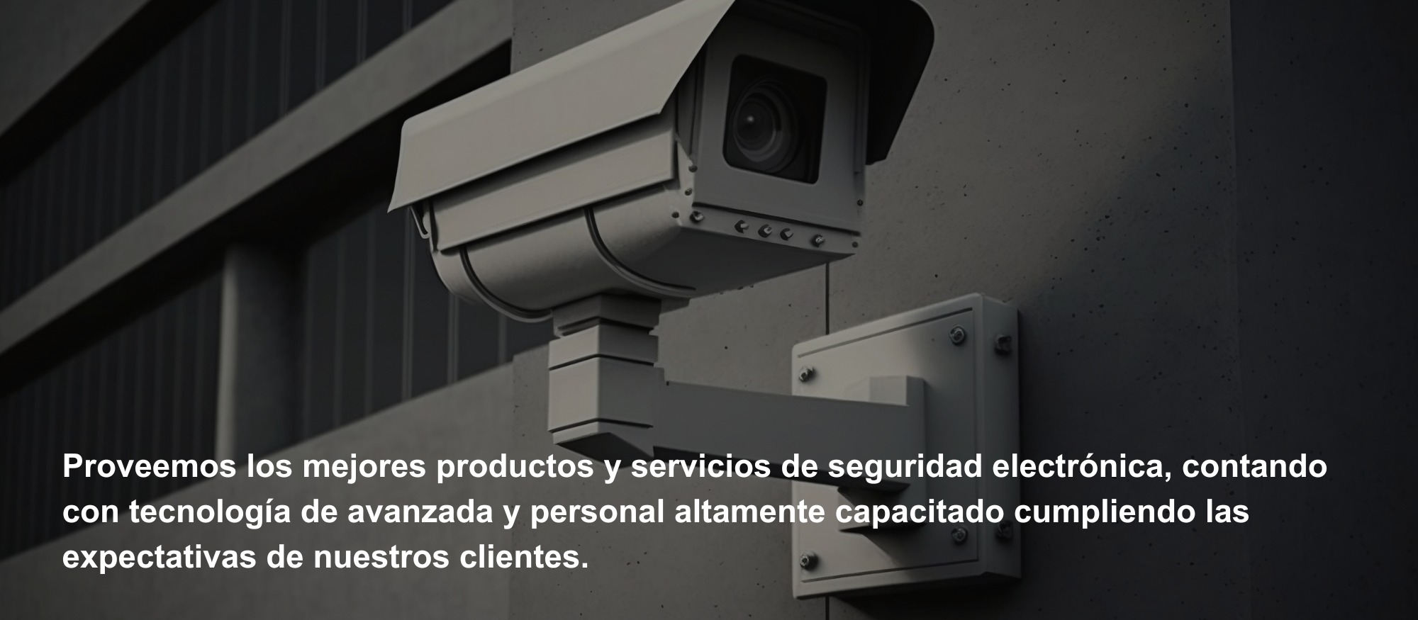 Acerca de Vangel Security