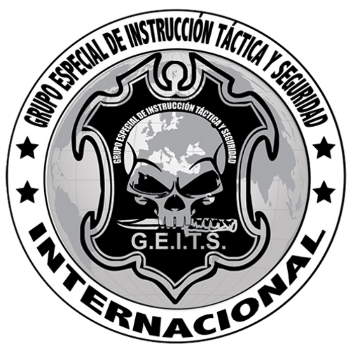 G.E.I.T.S Internacional - Aliado estratégico en seguridad